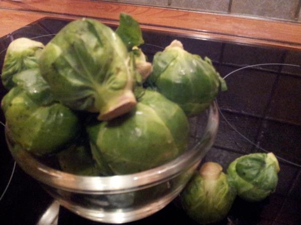 Brstični ohrovt v masleni skorjici